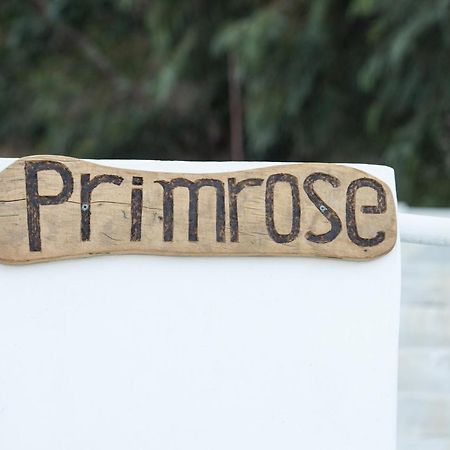 Primrose Apartments Astypálaia Eksteriør billede